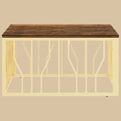 Golden Earth - Salontafel - South America